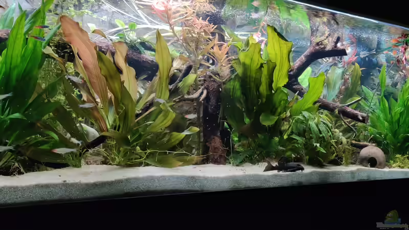 21.5.19 von Woidma (24)