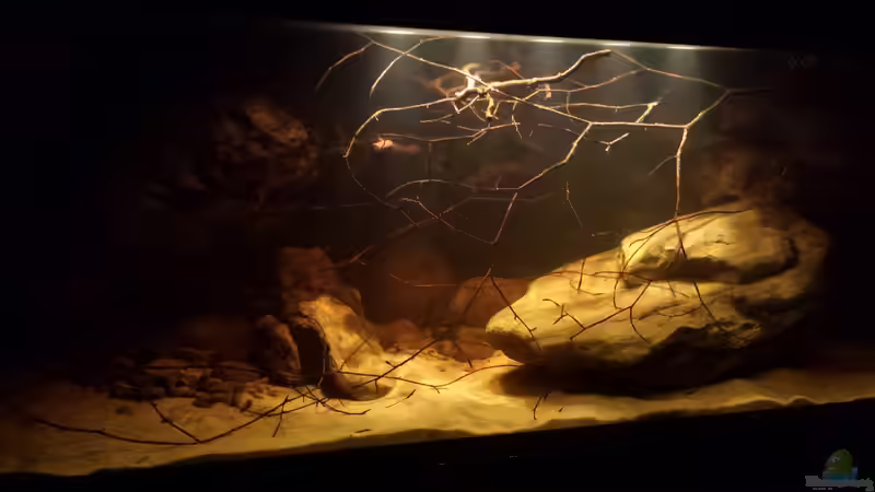 21.8.14 von Laura (18)