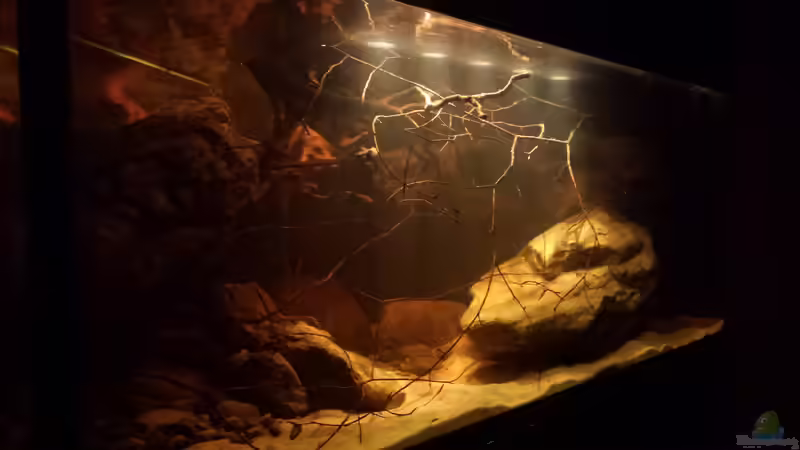 21.8.14 von Laura (20)