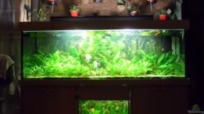 21.9. 10 von kleines becken (15)