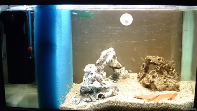 21,st.  Yellow  01,2008 ,  von lucky-luke.ch (40)