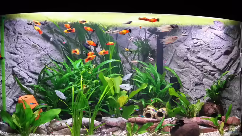 21 Uhr grosses Licht schaltet gleich ab von Steffen und Felix (33)