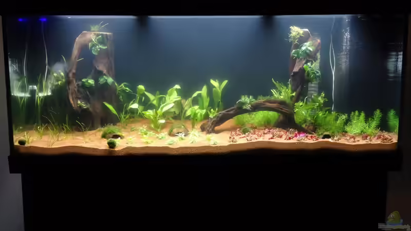 22.) Becken voll von coachdriver_uwe (23)