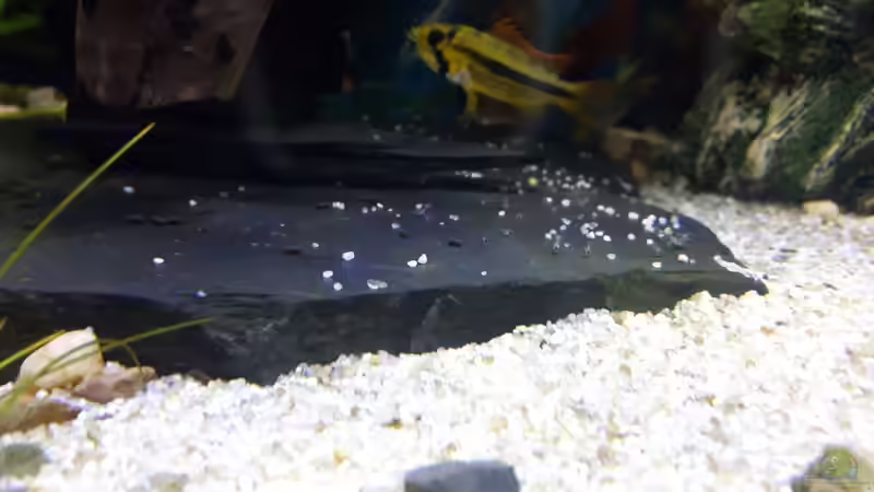 22.01.16 von .Andreas. (119)