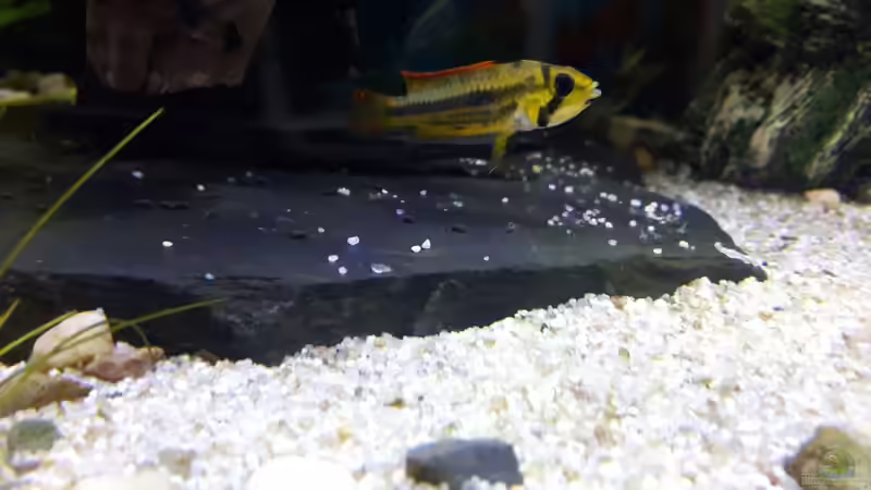 22.01.16 von .Andreas. (120)