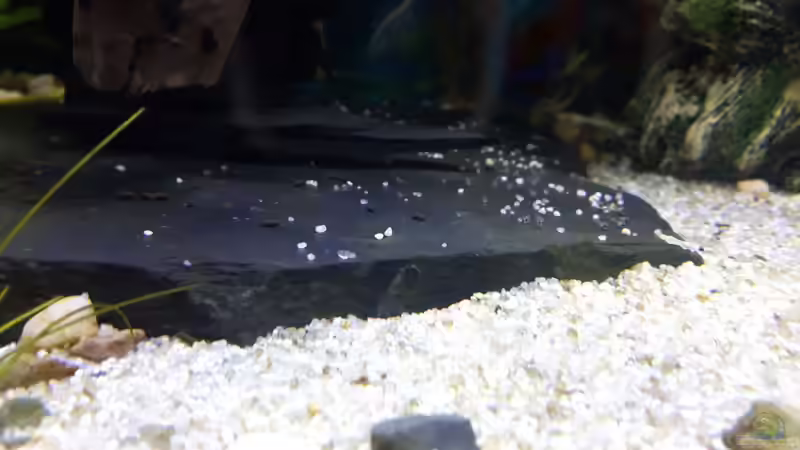 22.01.16 von .Andreas. (121)