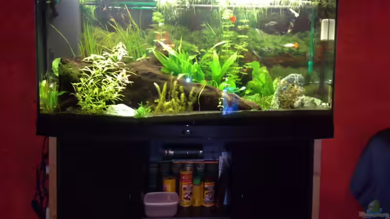 22.01.2009 von Welslau (2)