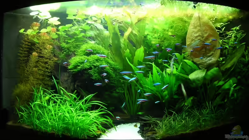 22.01.2012 von Christian Grunwald (4)