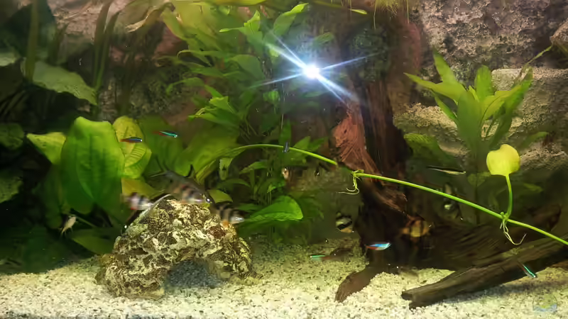 22.01.2013 von Steve (3)