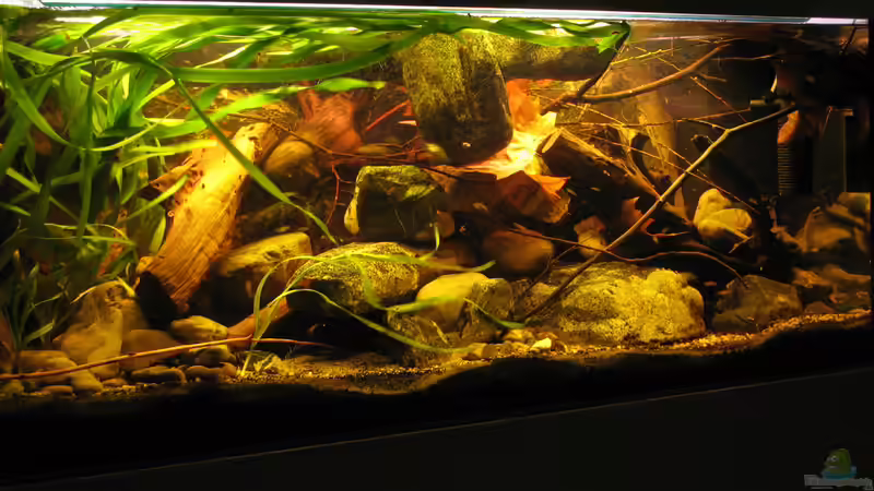 22.01.2014 auch Hauptbild von der Theoretiker (9)