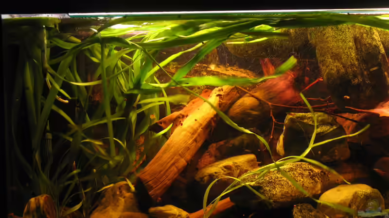 22.01.2014 Dynamik in der linken Hälfte von der Theoretiker (8)