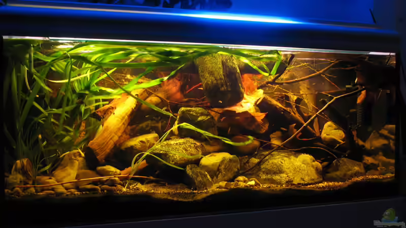 22.01.2014 erste Lamelle des Deckels offen von der Theoretiker (7)