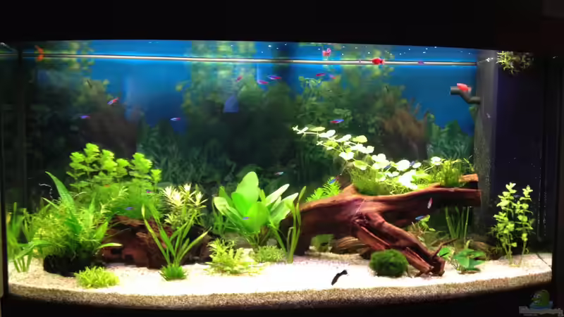 22.01.2014 von Oskar (4)