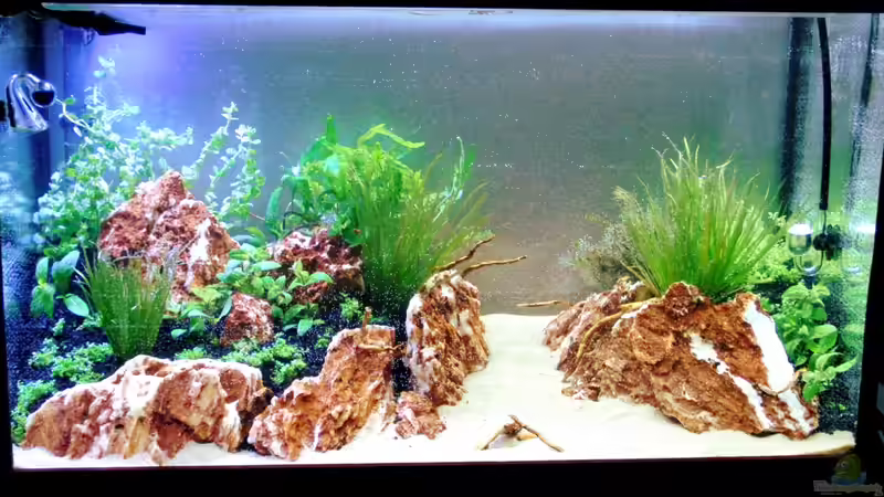 22.02.13 - Befüllt von Bjarke (6)