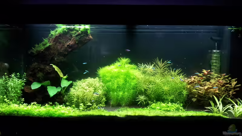 22.02.14 von Terence Hill (11)