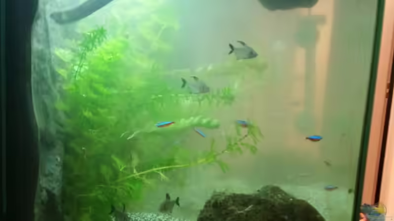 22.02.16 im Umbau von Angie777 (5)