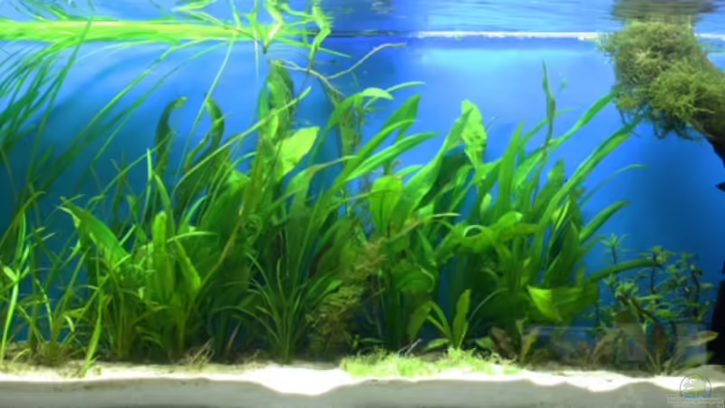 22.02.2010 von chrisreal (3)