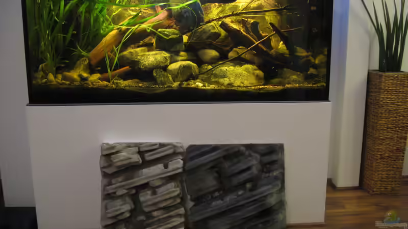 22.02.2014 bestehendes Becken mit Deko für neues Projekt von der Theoretiker (4)