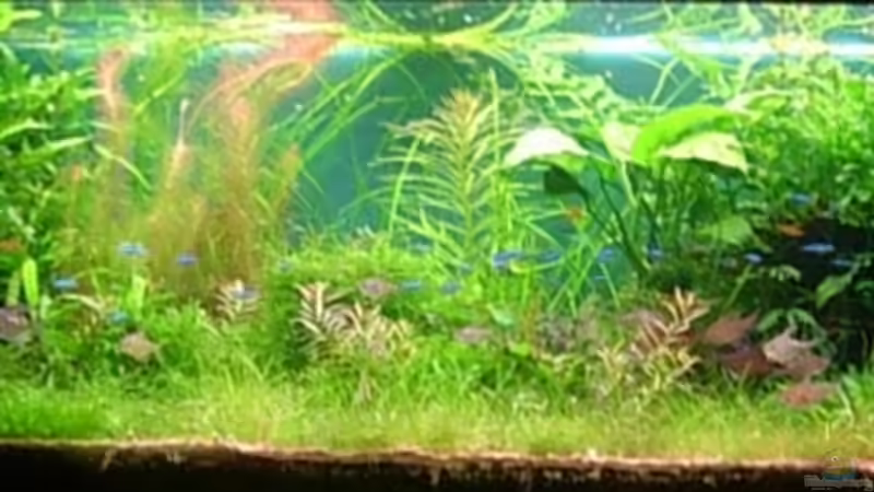 22.03.09 von Daniel_ (1)