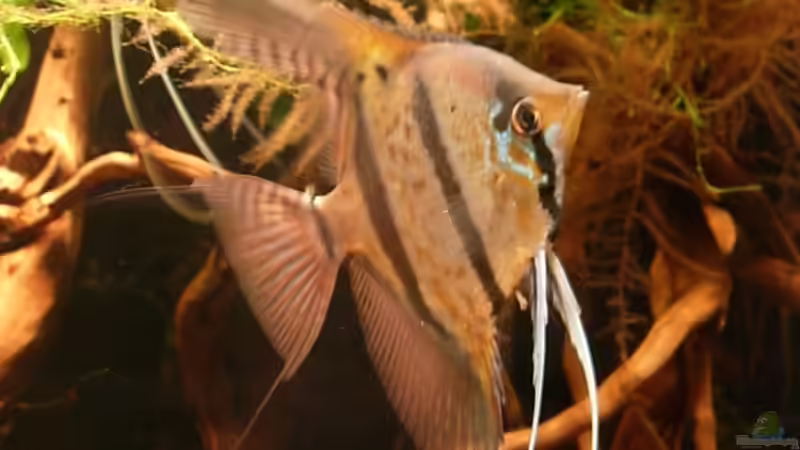 22.03.09 von Daniel_ (28)