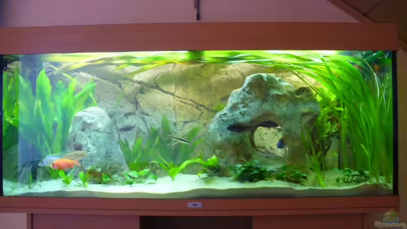 22.03.09 von Tobi_88 (1)