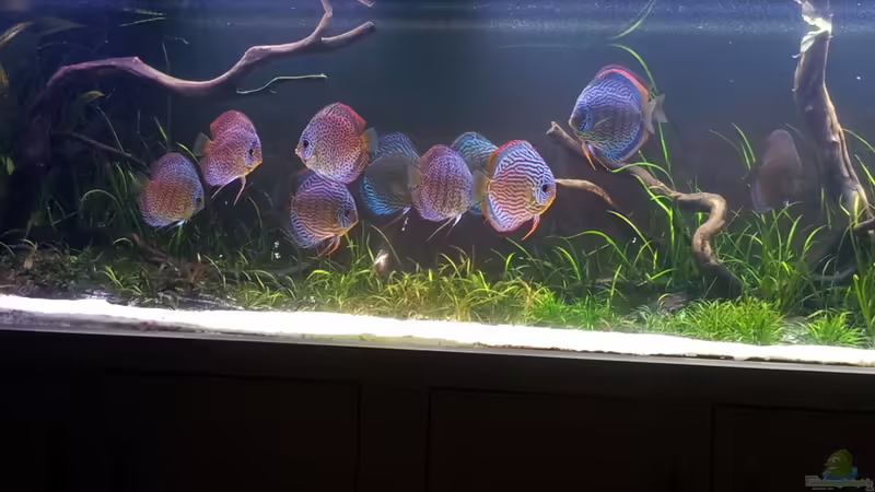 22.03.2012 von Dani B (11)