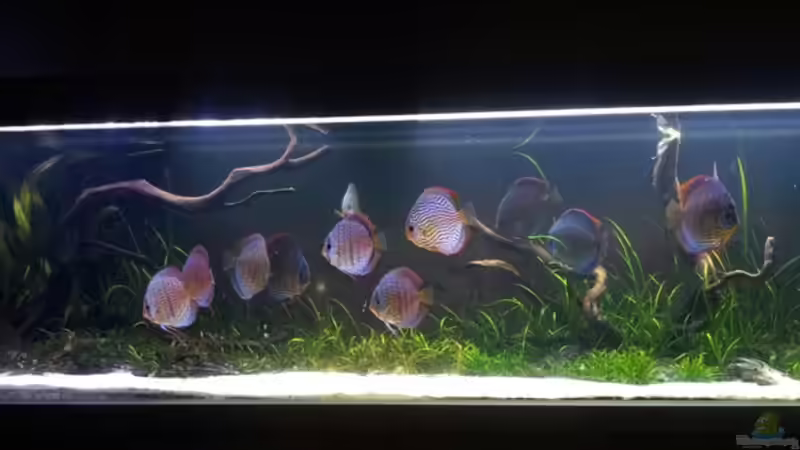 22.03.2012 von Dani B (12)