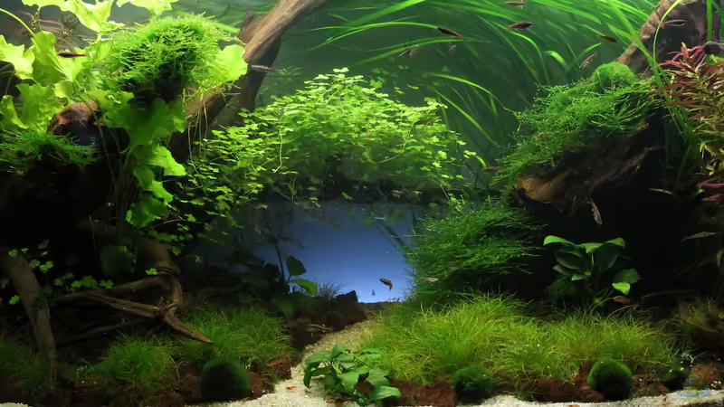 22.03.2014 von GIDDI (2)