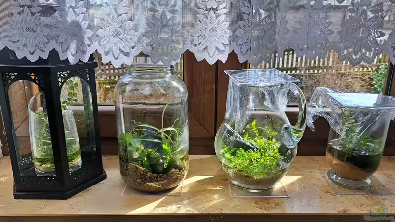 22.03.2023 Teilweise noch mit Folie abgedeckt von okefenokee (3)