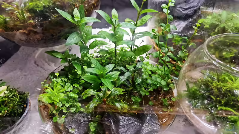 22.03.2023 von okefenokee (13)