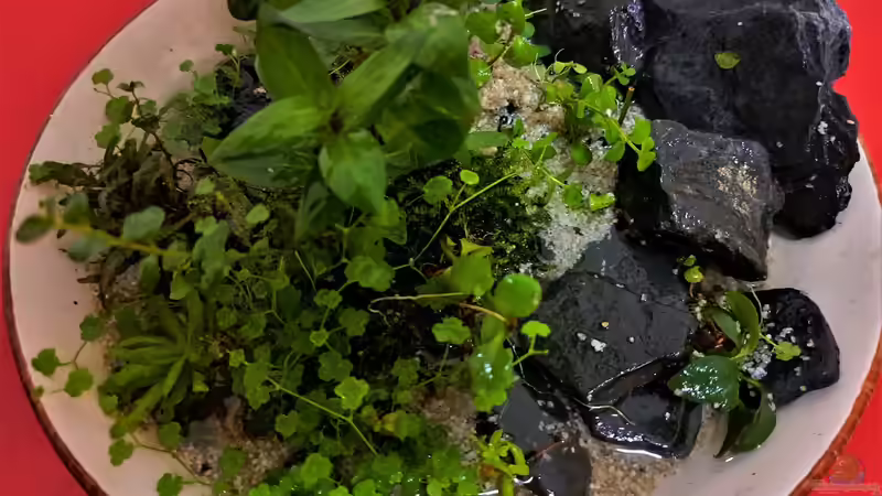 22.03.2023 von okefenokee (20)