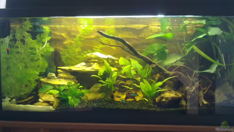 22.04.2011 von Koehler (4)