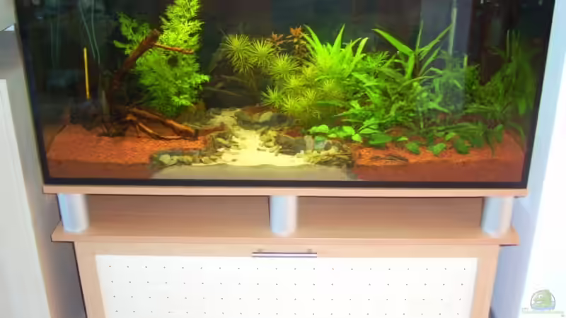 22.05.2009 von Linkman (3)