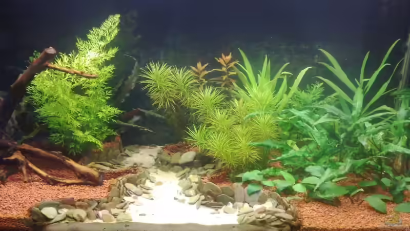 22.05.2009 von Linkman (4)