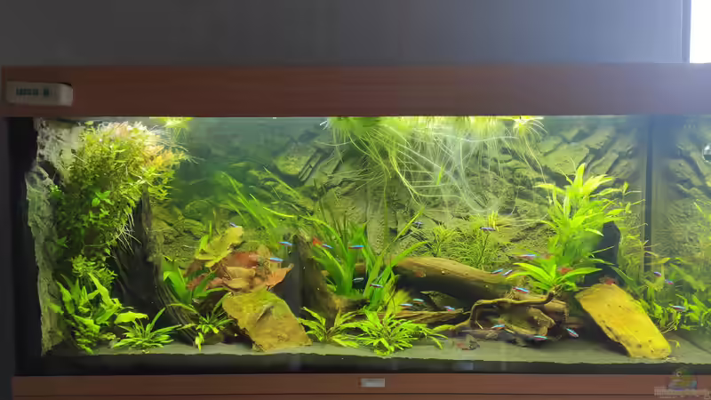 22.05.2021 Aktueller Zustand von stephan-k (4)