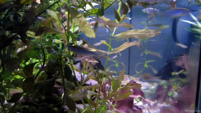 22.06.08 von katharina (2)