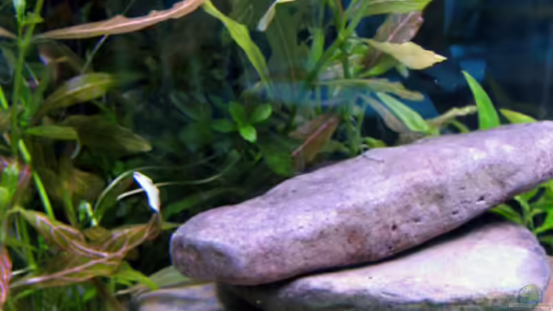 22.06.08 von katharina (3)