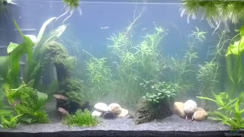 22.06.18 von Stephy (2)