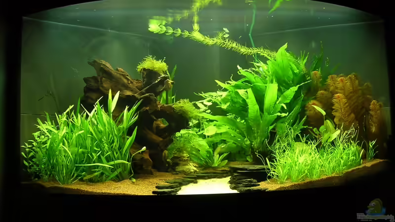 22.07.2011 von Christian Grunwald (18)