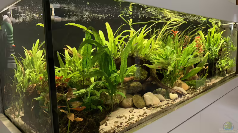 22.07.2020 von Fäbi_CH (15)