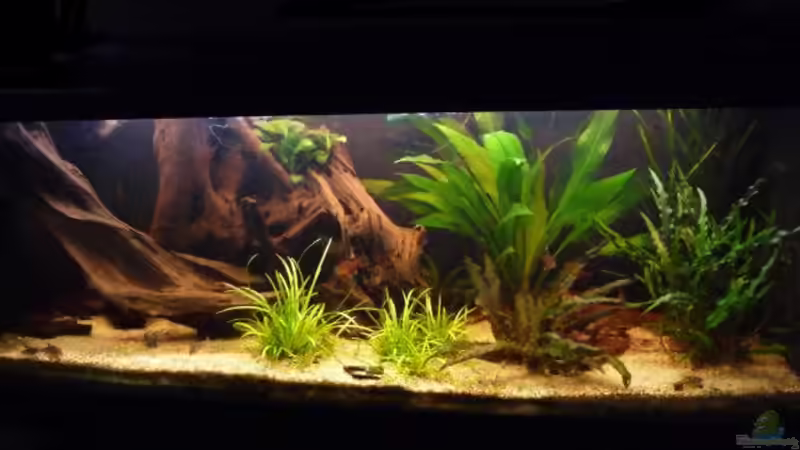 22.08.09 von Bavaria (1)