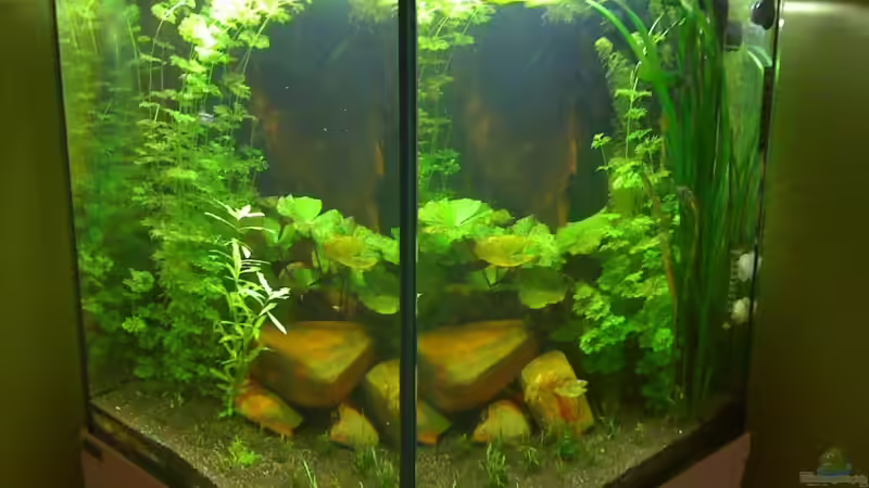 22.08.09 von ml69 (8)