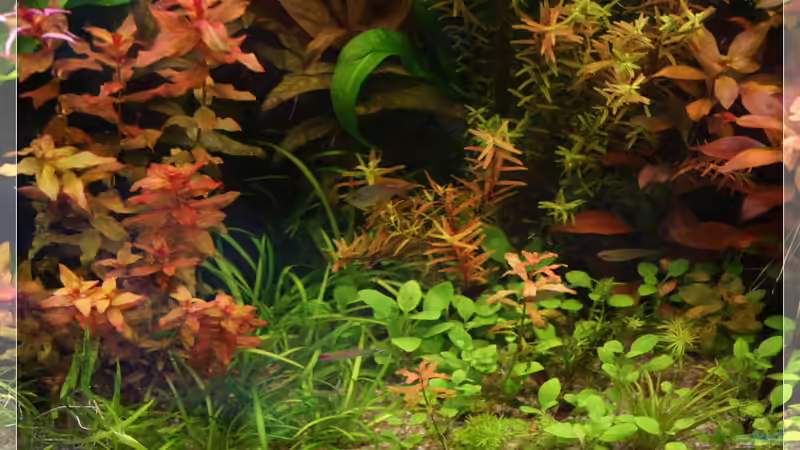 22.08.2010 von Ralf64 (20)