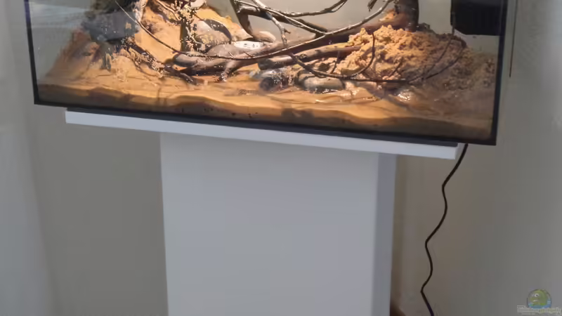 22.08.2015 von Laura (2)