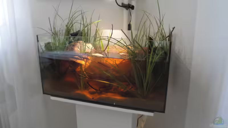 22.08.2015 von Laura (5)