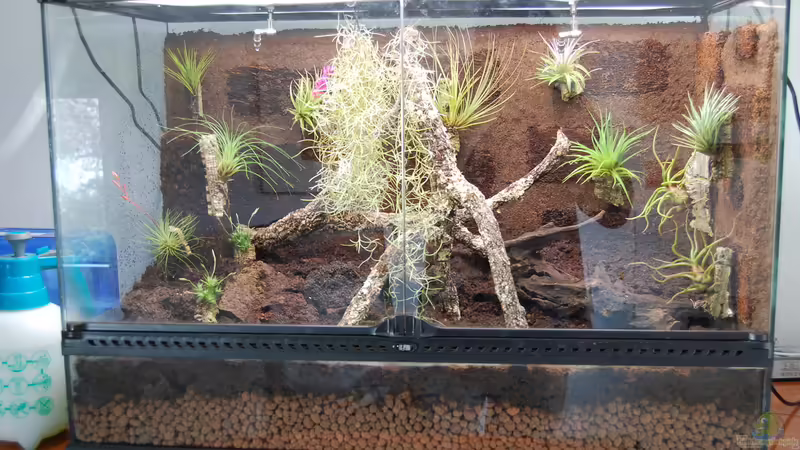 22.09.2012 von Junglist (36)