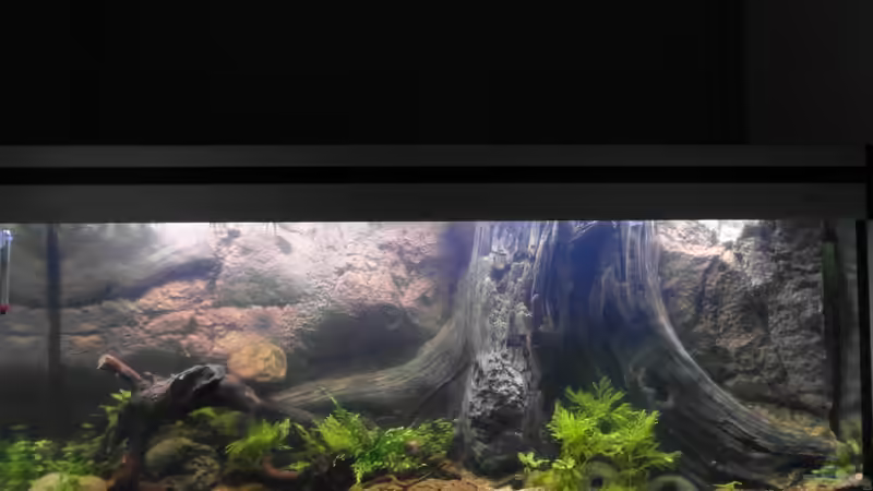 22.09.2013 von Intershrimpview (55)