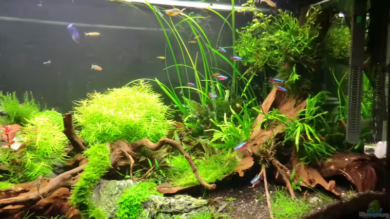 22.09.2013 von Walde (11)