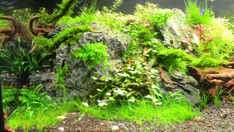 22.09.2013 von Walde (13)