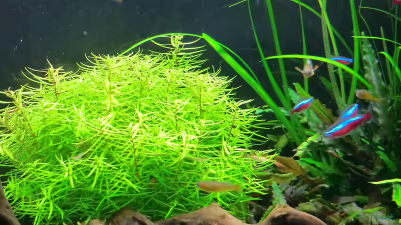 22.09.2013 von Walde (22)